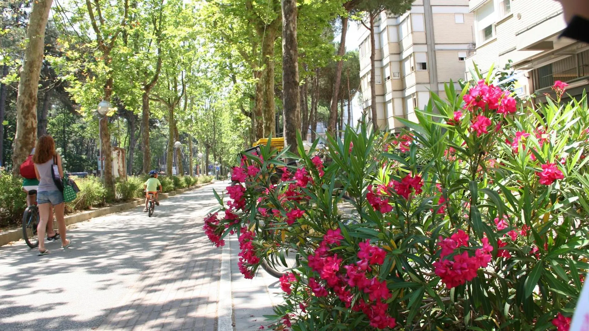 Romea Family Camping Casal Borsetti Ιταλία